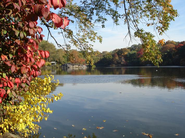 Autumn in New York